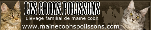 www.mainecoonspolissons.com/